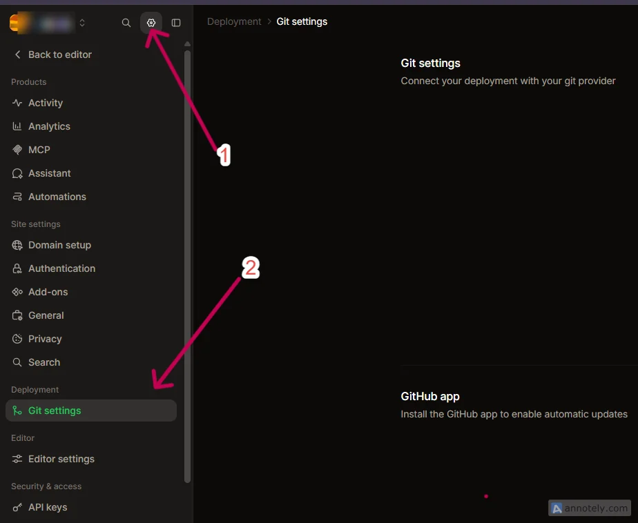 Settings in Mintlify