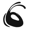 CodeAnt